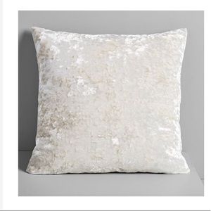 NWOT pressed velvet pillow cases set of 2